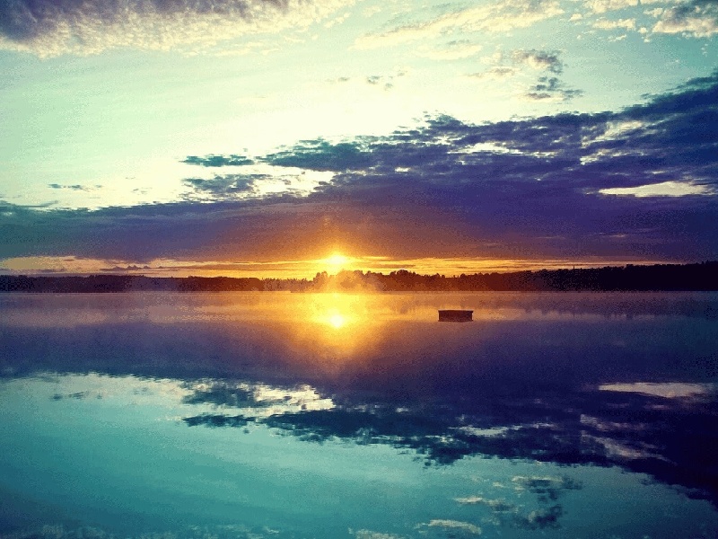 美国试管可靠吗，大林试管双胎