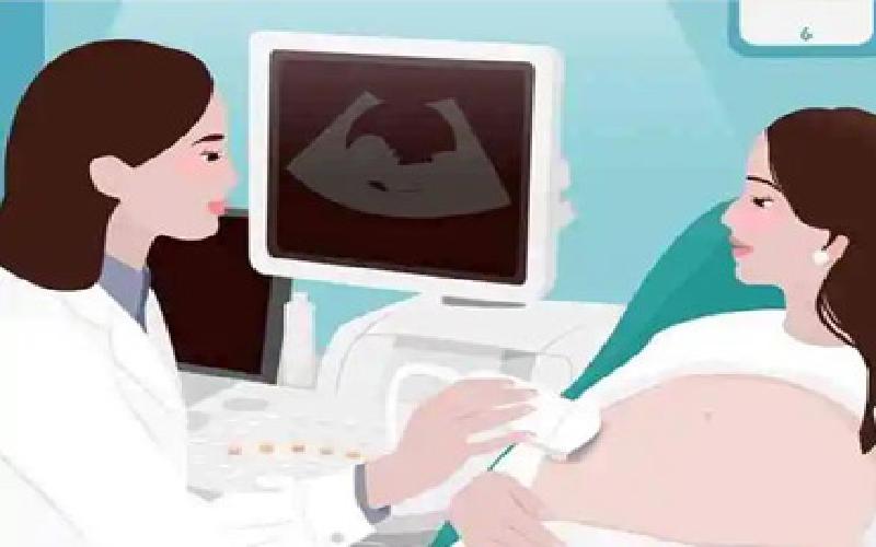 试管每项费用是多少代生